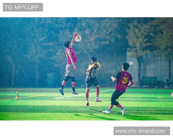 武汉飞盘队的速度之道:聚焦飞盘运动的魅力与挑战